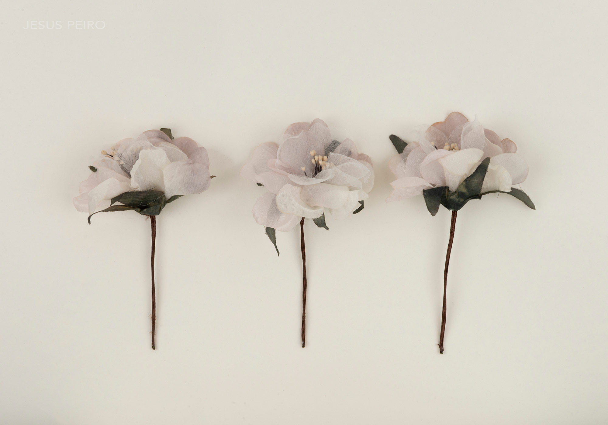 Hairpins OFELIA