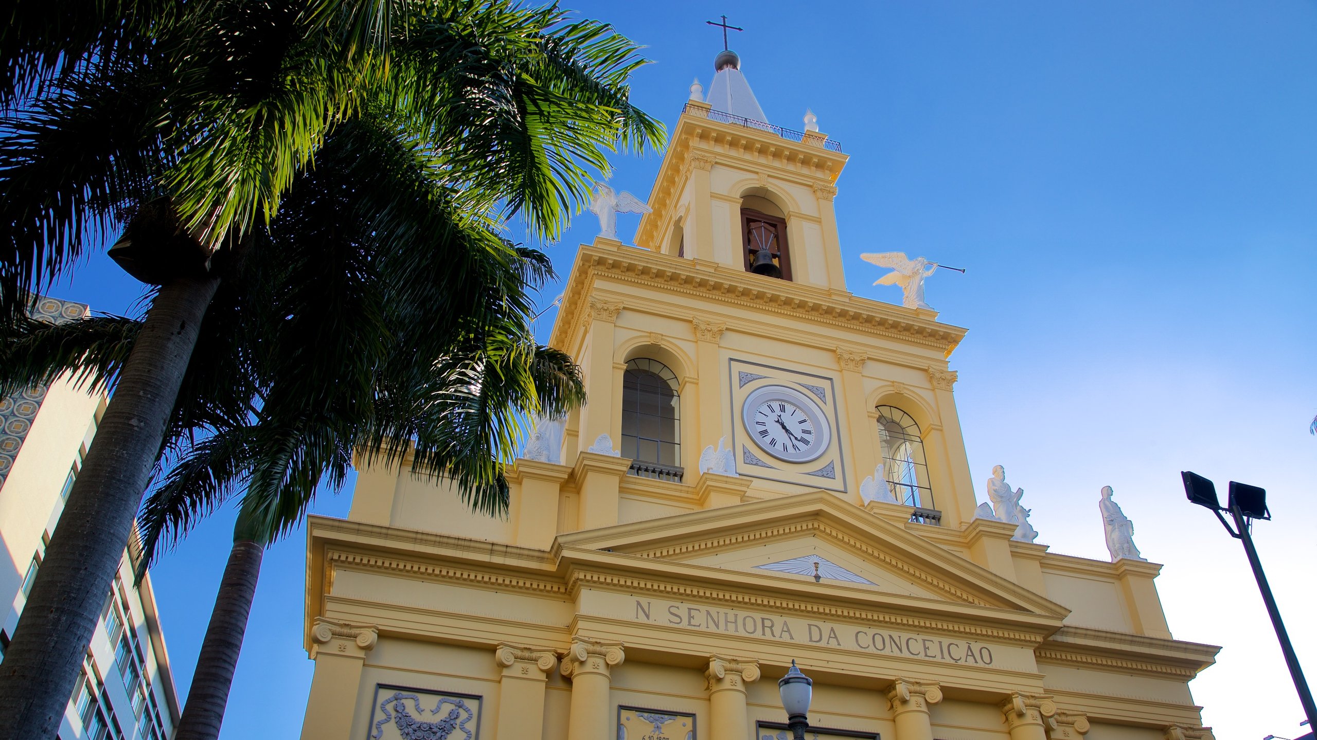 Casamarela Campinas